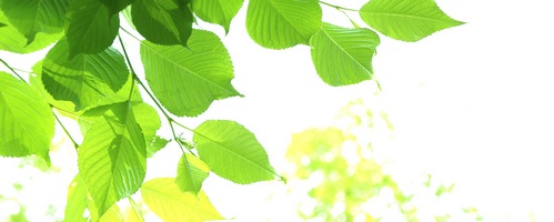 �����ʂ� �O�Ǔh���̔��T�C�g��